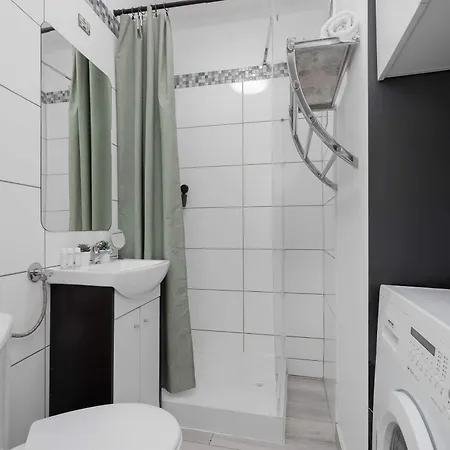 Cozy Pet-friendly In Downtown By Renters